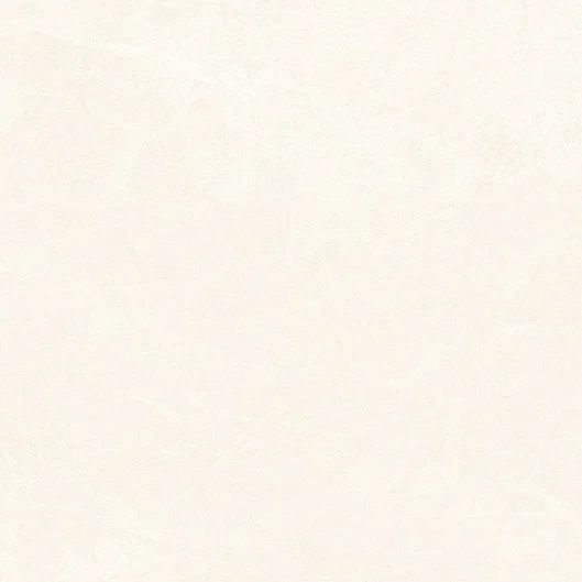 Gạch xương đá bề mặt bóng kính 40x80 (cm)