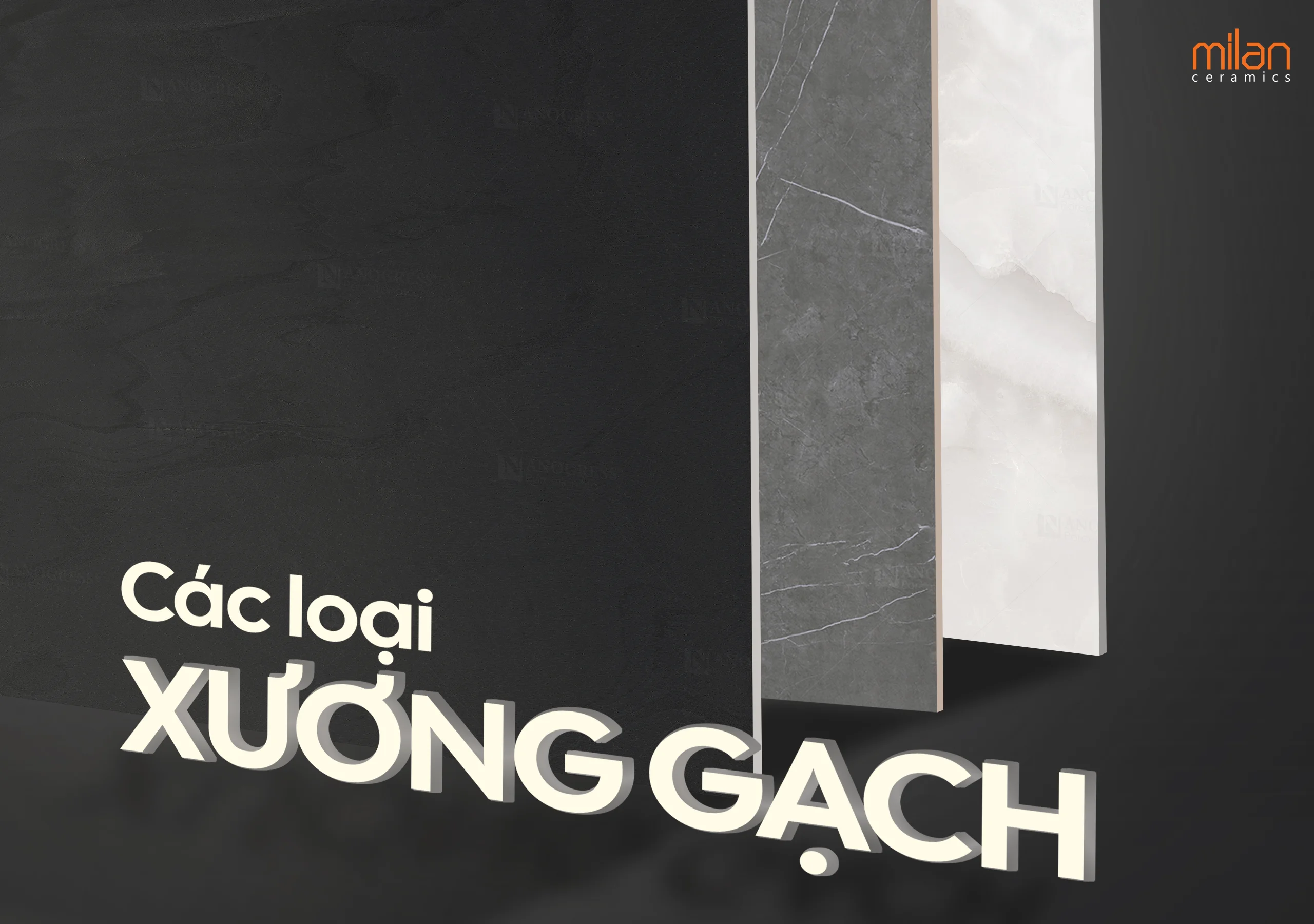 các loại xương gạch, xương gạch